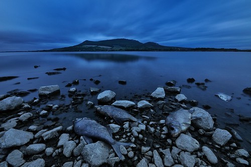 sunset sea lake fish storm mountains beach water weather clouds port landscape pier twilight pond rocks long exposure angle czech dusk hill wide sigma windy filter le bluehour 1020mm hdr waterscape palava mikulov musov