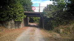 Sur la ligne de Bressuire à Neuville de Poitou - Photo of Saurais