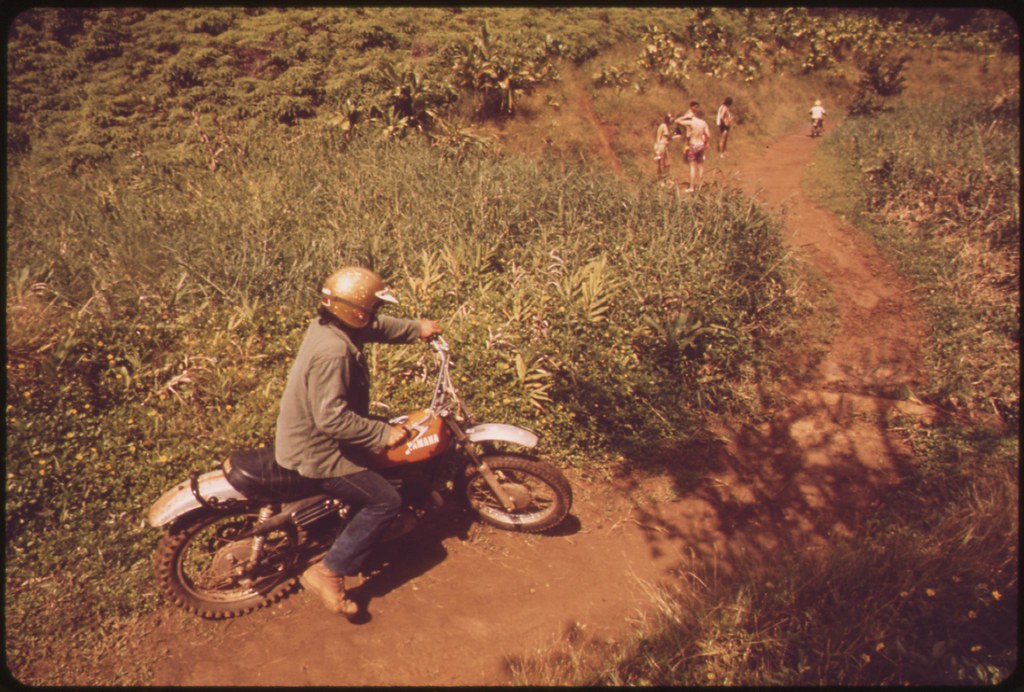 On the foot trail to Waipahee Falls, a scenic area maintained by the State Forestry Department, October 1973