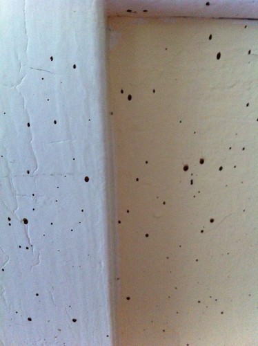 Image 40 Of Bed Bug Poop On Walls Wristoneze