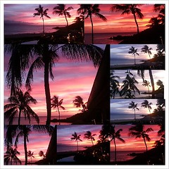 Back from #staycation & rewarded w/ this #maui #masterpiece. So #lucky & blessed. Miss my #boo @genaferl   #happiness #blessed #shoots #luckylivelahaina #SUNSET #picoftheday #collage #firesky