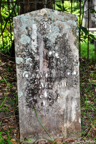 cemetery alabama dayton larrybell marengocounty larebel daytoncemetery larebell