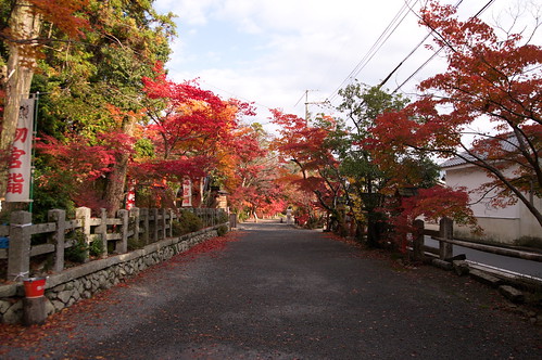 【写真】2012 紅葉 : 鍬山神社/2021-12-10/IMGP5851