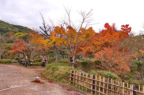 【写真】2012 紅葉 : 円山公園/2021-09-23/IMGP7992