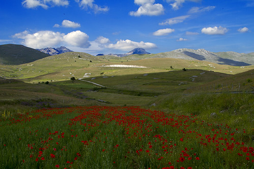 trip travel italien sky italy cloud canon landscape italia day wildflowers italie abruzzo laquila gransasso canonef24105mmf4lisusm canoneos7d antoniovaccarini