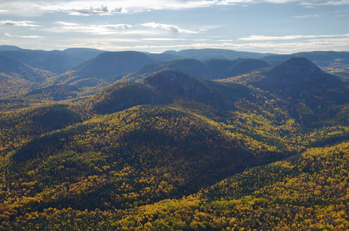 québec charlevoix fall automne autumn forest forêt jaune yellow mountains montagnes tamron16300vc
