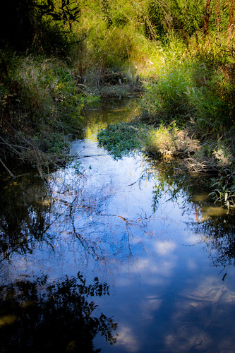 blue sky reflection green water clouds mountainview stevenscreektrail