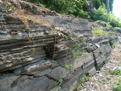cambrian geology giddingsbrookslice granville graptolites klippe mountmerino mudstone newyork ordovician overthrust shale siliceous slate taconic washingtoncounty nemagraptus
