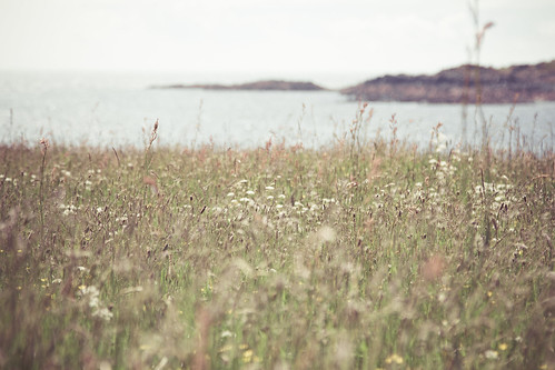sea summer beach field grass landscape scotland flickr meadow 7d hazy 112 24105 kirkcudbright carrickbay