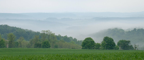 trees plants field fog unitedstates pennsylvania air agriculture sidman smcpfa50mmf14