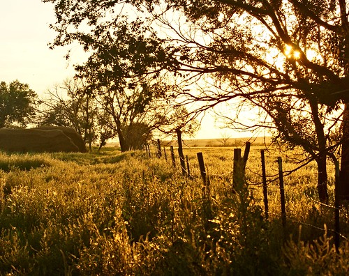 ranch sunset oklahoma fence perspective land prairie hay alpha