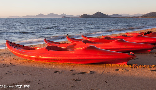 beach sunrise kayak australia queensland coralsea northqueensland palmcove