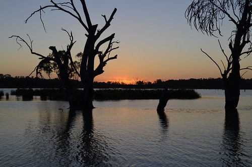 australia sunrisesunset southaustralia murrayriver overlandcorner lochlunagamereserve lochlunaoct2014 lot200morganroad