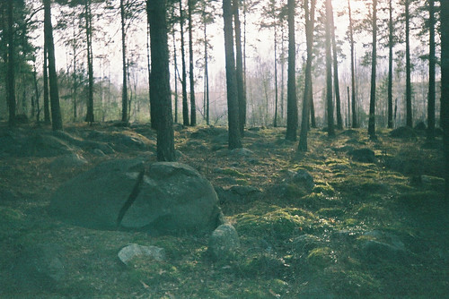 forest kodak cameo mm 35