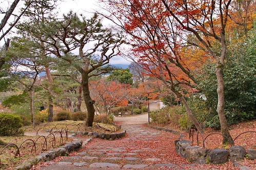 【写真】2012 紅葉 : 円山公園/2021-09-23/IMGP7996