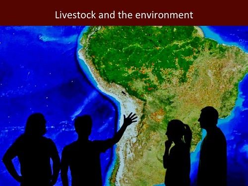 Livestock and the environment