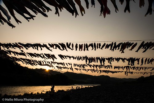 sunset fish flags gw childrensday goldenweek nikond800 nikkor2470mm28