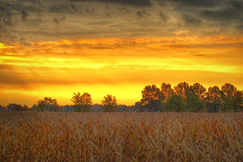 autumn trees light ohio sky orange usa sun tree fall yellow clouds rural sunrise geotagged gold golden october midwest skies glow farm cincinnati sony country alpha dslr a200 geotag hdr browncounty app 2012 facebook handyphoto iphoneedit snapseed jamiesmed