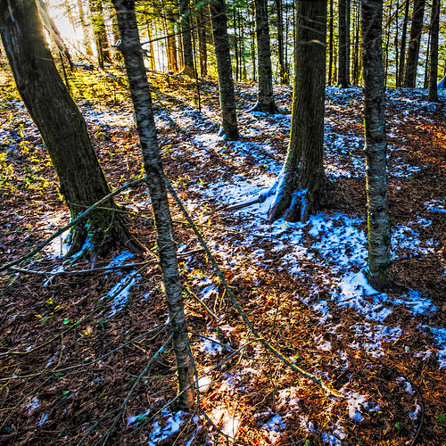 snow ontario canada weather spring scenic hdr highdynamicrange dryden lightroomhdr lrhdr