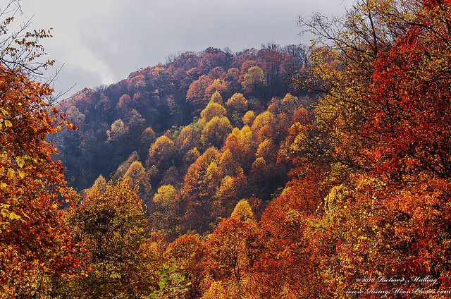 North Carolina Colors Of Fall