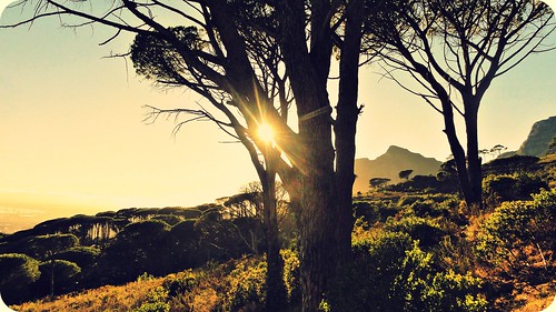 africa light mountain sunshine sunrise table landscape mood capetown