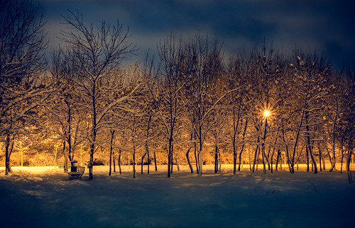 winter snow night shoot kazakhstan almaty
