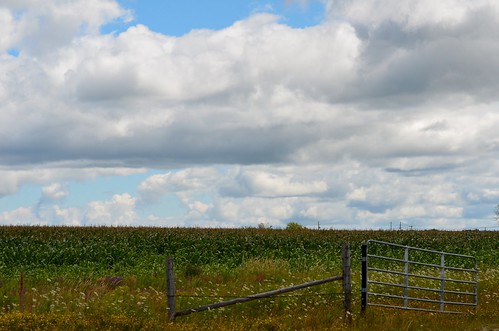 ontario clouds fence countryside corn nikon summertime puffyclouds shelburne d7000