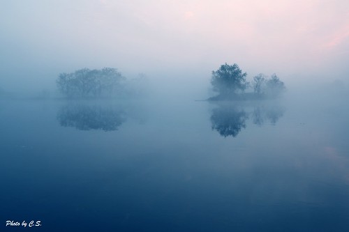 china fog dawn spring explore wonderland fairyland wuyuan jiangxi explored
