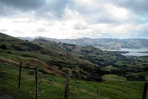 autumn sea newzealand sky water clouds fence southisland bankspeninsula tress hilltop hillls