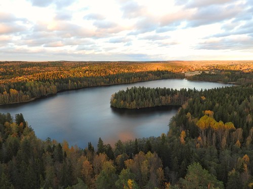 lake woods fall autumn hämeenlinna aulanko lookouttower evening eveninglight peaceful beautifullight