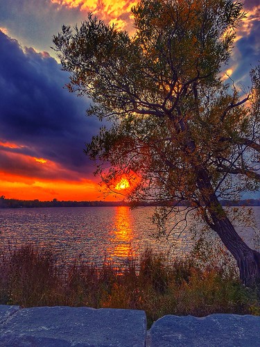 ©ccphotoworks richmondhillontario wilcoxlake lakewilcox shoreline water reflections sunset sun outdoors nature autumn lakes