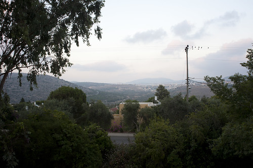 tree landscape ישראל yuvalim sachnin סכנין יובלים dailyimage חניקריסטל