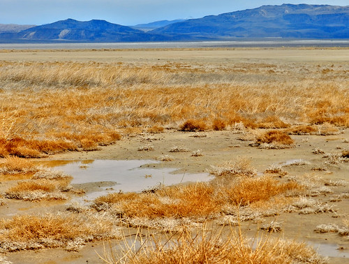 california usa lake mountains water landscape desert dry harper puddles lockhart