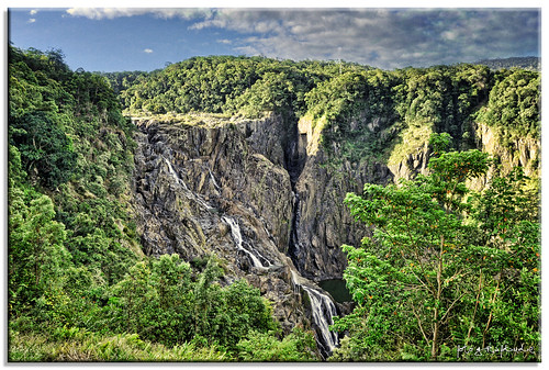 forest trek waterfall nationalpark bush nikon australia queensland barronfalls kuranda d90 fotografdude