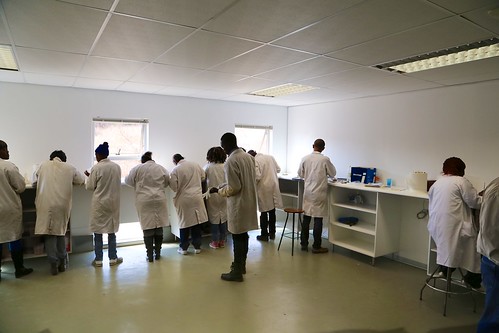 Marapo casting lab workers