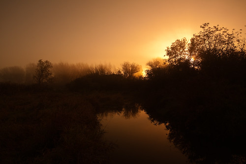 morning autumn usa mist reflection fall nature fog wisconsin creek sunrise river landscape photography dawn photo october midwest stream image belleville picture northamerica canonef1740mmf4lusm 2011 canoneos5d danecounty brooklynwildlifearea lorenzemlicka
