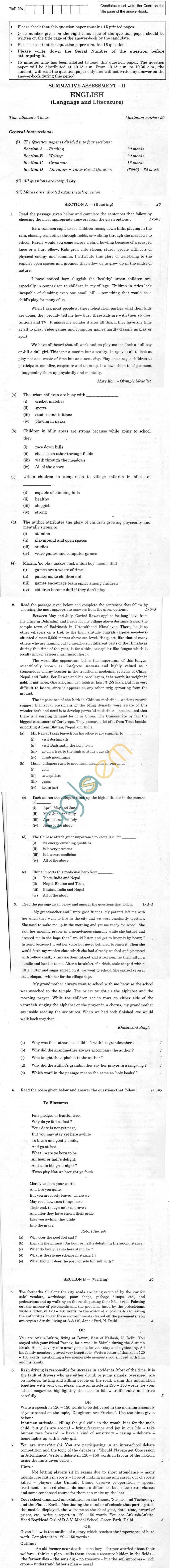 CBSE Compartment Exam 2013 Class X Question Paper - English Language and Literature