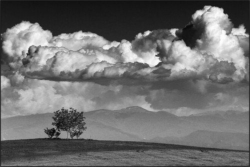 tree clouds nuvole fav20 albero prato colline monferrato italianlandscape fav10 paesaggioitaliano beppeverge