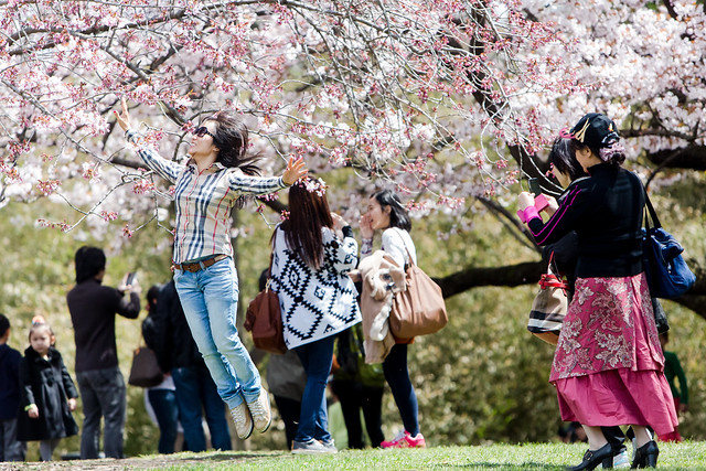 Visitors at Sakura Matsuri. Photo by Liz Ligon.