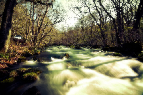 longexposure zeiss forest t whitewater may rapids utata aomori gorge 15mm f28 ze 青森 towada oirase distagon 奥入瀬渓流 2013 springforest oirasegorge canoneos5dmarkiii carlzeissdistagont15mmf28ze