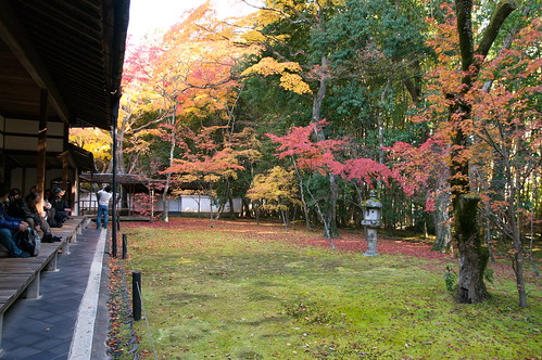 【写真】2012 紅葉 : 高桐院/2020-01-30/IMGP6942