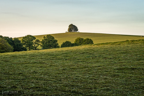 morning trees england sky outside unitedkingdom outdoor sony hill gb fields wallingford wittenhamclumps southoxfordshire barrowhill a99 sonyalpha andyhough earthtrust slta99v littlewittenhamwood andyhoughphotography