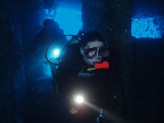 Helen swimming into the wreck Image
