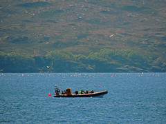 Loch Gairloch - pm: 30th May 2013