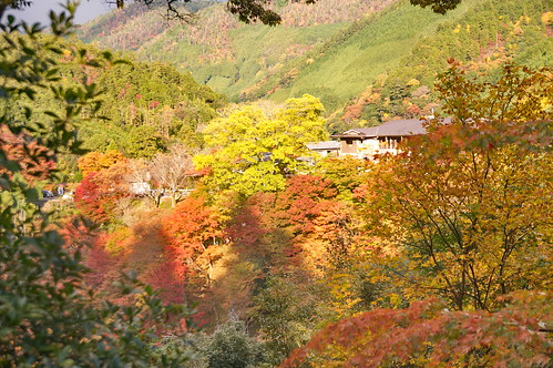 【写真】2012 紅葉 : 神護寺/2021-12-12/IMGP6054