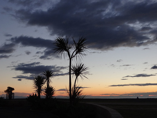 newzealand beach sunrise silhouettes nz napier pointshoot sonycybershot hawkesbay anzacday marineparade explored 2013 homelandsea dschx100v