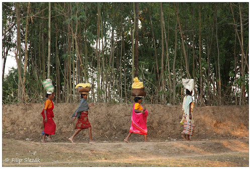 road travel india asia tribal indie chhattisgarh jagdalpur indiansubcontinent bastar muriatribe čhattísgarh