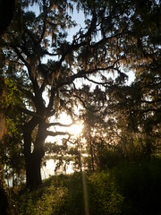 Sunrise at the Lafayette Heritage Trail Park