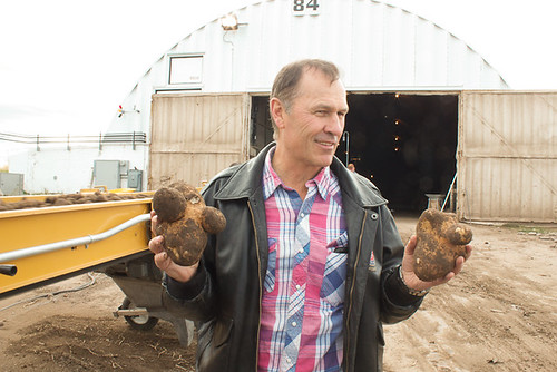 Idaho Potato Harvest-13