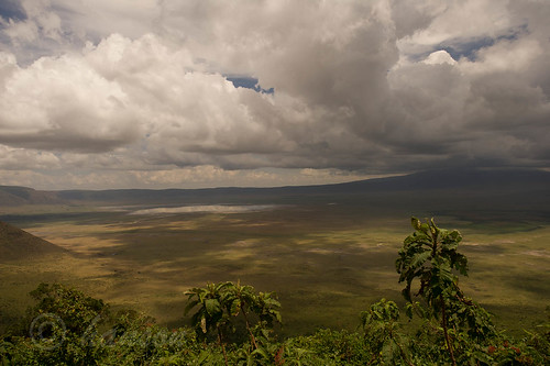 tanzania nationalpark arusha ngorogorocrater